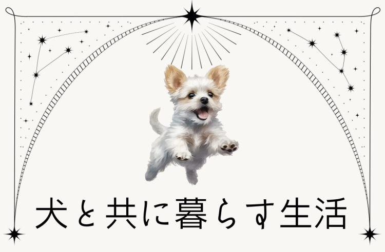 カワイイがいっぱい！ワンダーランド